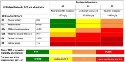 The significance of finerenone as a novel therapeutic option in diabetic kidney disease: a scoping review with emphasis on cardiorenal outcomes of the finerenone phase 3 trials